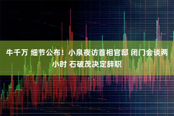牛千万 细节公布！小泉夜访首相官邸 闭门会谈两小时 石破茂决定辞职