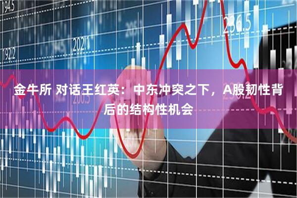 金牛所 对话王红英：中东冲突之下，A股韧性背后的结构性机会