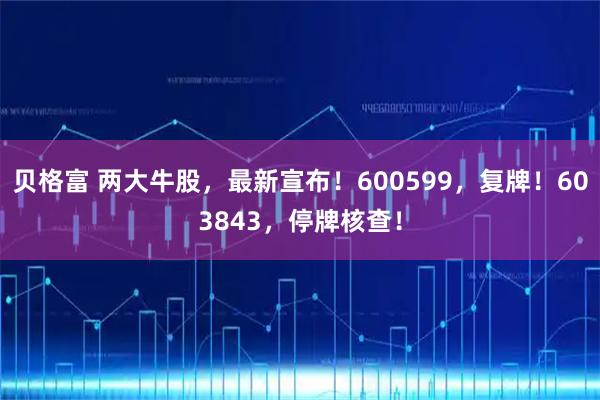 贝格富 两大牛股,最新宣布!600599,复牌!603843,停牌核查!