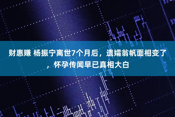 财惠赚 杨振宁离世7个月后，遗孀翁帆面相变了，怀孕传闻早已真相大白