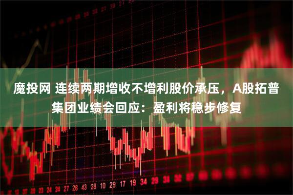 魔投网 连续两期增收不增利股价承压，A股拓普集团业绩会回应：盈利将稳步修复