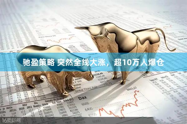 驰盈策略 突然全线大涨，超10万人爆仓