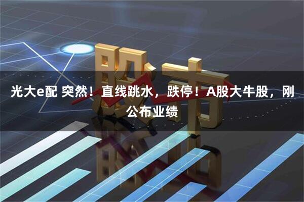 光大e配 突然！直线跳水，跌停！A股大牛股，刚公布业绩
