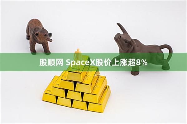 股顺网 SpaceX股价上涨超8%