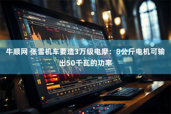 牛顺网 张雪机车要造3万级电摩：8公斤电机可输出50千瓦的功率